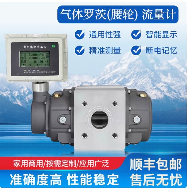 LLQ-80氣體羅茨腰輪流量計(jì)